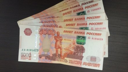 В Воронеже «Русавиаинтер» полностью погасил 58 млн рублей долгов по зарплате