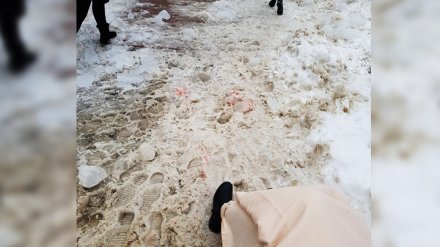 В Воронеже на женщину упала глыба льда: горожанка с тяжёлой травмой попала в больницу