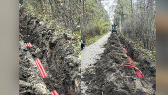 Трактор обрубил корни кустарников в воронежском «Танаисе»