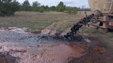 Ущерб от слива «чёрных удобрений» в Репьёвском районе превысил 8 миллионов