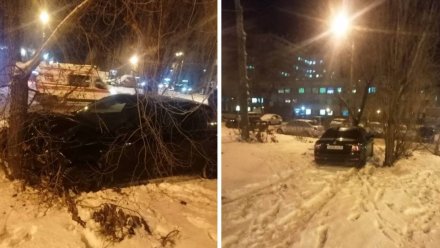 Два человека попали в больницу после ДТП с деревом в Воронеже