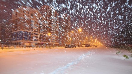 Испытание первым снегопадом Воронежу предстоит пройти с новым главным коммунальщиком