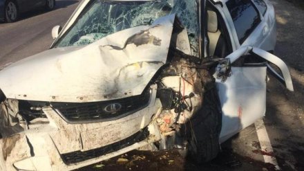 На воронежской трассе в ДТП погиб водитель Lada, столкнувшись с иномаркой и деревом
