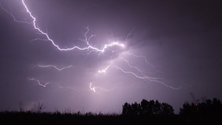 Московские синоптики спрогнозировали грозу и сильный ветер в Воронежской области