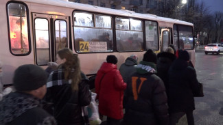 Воронежские перевозчики сократили выпуск автобусов на улицы