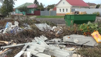 В воронежском райцентре камеры начнут следить за жителями, выбрасывающими мусор где попало