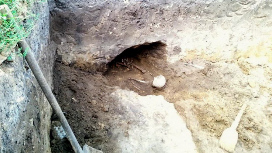 В Воронежской области во дворе дома нашли останки древнего человека