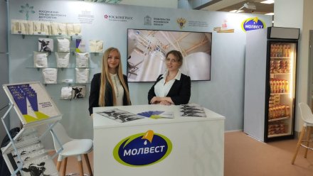 Заслуги воронежского «Молвеста» отметили на форуме в Подмосковье