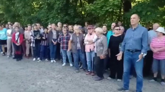 «Грудью станем». Жители воронежских СНТ решили спасти лес от вырубки