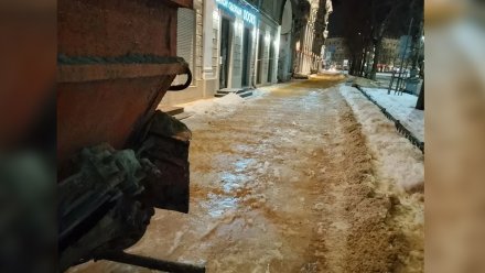 Воронежцам рассказали об уборке города после потепления