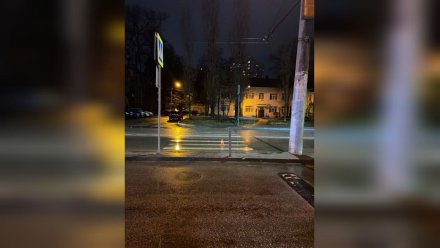 Водитель «Лады» сбил 11-летнюю девочку на переходе в Воронеже