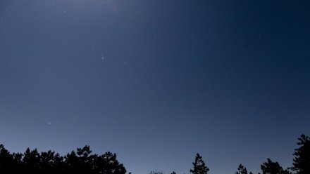 Силы ПВО привели в готовность в Воронежской области из-за атаки БПЛА
