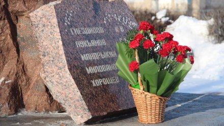 Воронежский сенатор почтил память воинов-интернационалистов	