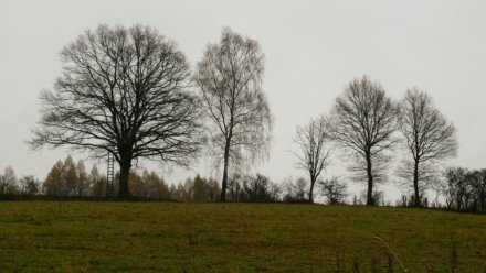Двоих пропавших без вести воронежцев нашли погибшими