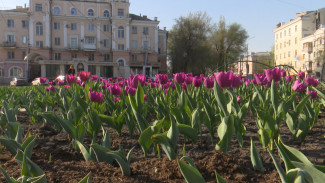 Прогноз погоды на 9.05.2025