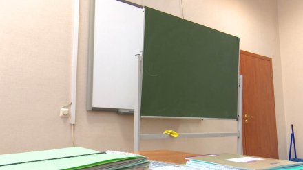 В воронежских школах 126 классов закрыли на карантин из-за ОРВИ