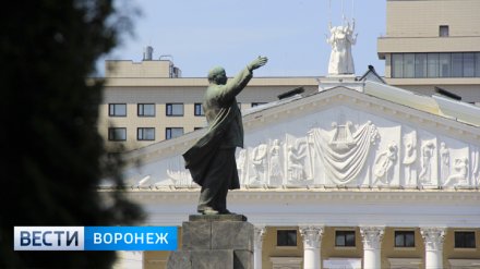 В Воронеже впервые пройдёт бесплатная экскурсия для людей с нарушением слуха