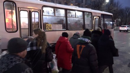 Воронежские перевозчики сократили выпуск автобусов на улицы