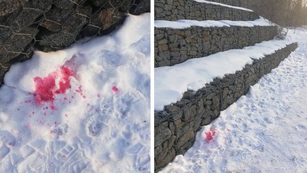 Воронежцев предупредили о разлитой по снегу отраве для собак 