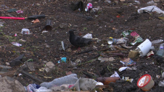 «Есть трудности». Почему в Воронеже забуксовала мусорная реформа
