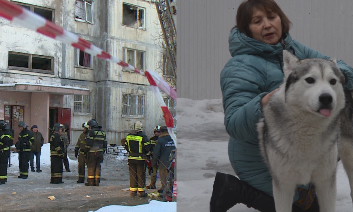 Тонущий хаски и семья с 11 детьми. Кого воронежцам удалось спасти в 2022-м  – Новости Воронежа и Воронежской области – Вести Воронеж