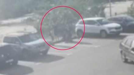 История с избиением мальчика в воронежском ЖК заинтересовала Бастрыкина