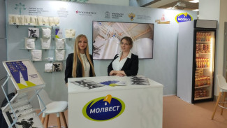 Заслуги воронежского «Молвеста» отметили на форуме в Подмосковье