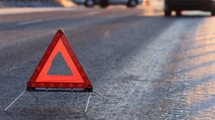 На трассе под Воронежем рейсовый автобус вылетел в кювет: пострадали 2 пассажирки