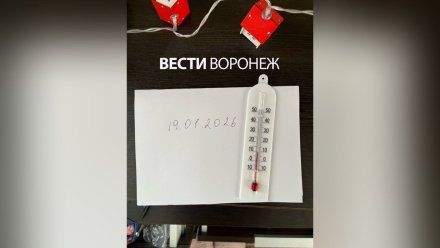 В воронежской 5-этажке включили отопление всего на один день в новом году