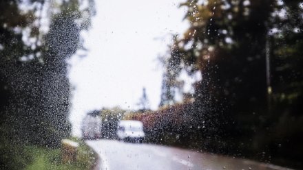 Водителей призвали не превышать скорость из-за непогоды на воронежской трассе