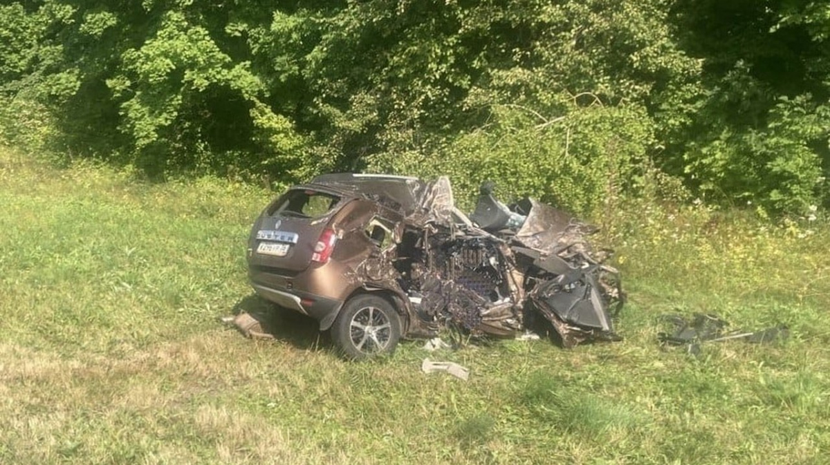 Два человека погибли в ДТП с грузовиком в Воронежской области | 23.08.2023  | Воронеж - БезФормата