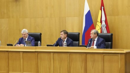 В Воронежской областной думе обсудили расширение категорий получателей мер соцподдержки