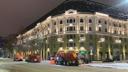Мэрия Воронежа попросила горожан не мешать коммунальщикам убирать по ночам снег