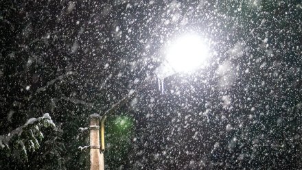 Циклоны «Квина» и «Филин» обрушат снегопады на Воронежскую область