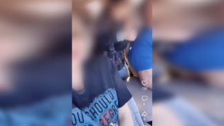 В Воронежской области танец хозяйки «Ни руски опитит» обернулся штрафом в 4500 рублей