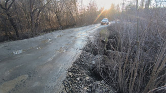 Жители посёлка под Воронежем пожаловались на разрушающийся мост