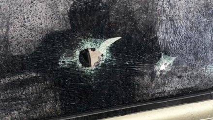 Под Воронежем киллер убежал в сторону леса после расстрела сына бизнесмена