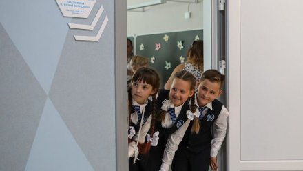 Власти потратили более 180 млн рублей на поддержку воронежских школьников