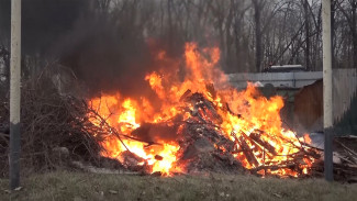 Первый класс пожарной опасности установился в Воронежской области