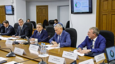 В Воронежской облдуме состоялось заседание Комитета по охране здоровья и демографии
