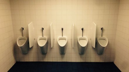 Ученики воронежской школы пожаловались Мизулиной на запрет посещать туалеты на уроках