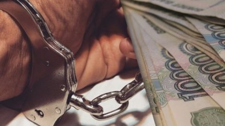 В Воронеже пойдёт под суд бизнесмен, обманувший спортшколу на 2,6 млн рублей