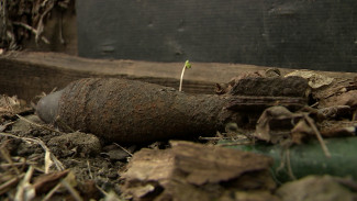 В частном секторе Воронежа нашли миномётный снаряд времён войны