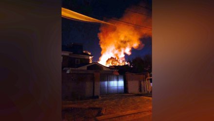 Воронежцы показали крупный пожар на окраине города