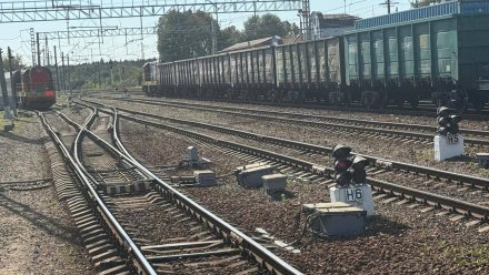 Воронежские следователи возбудили дело после схода двух вагонов в Курской области