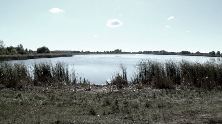В Воронежской области из пруда достали тело мужчины