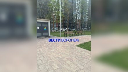 Тело женщины нашли под окнами 17-этажки в воронежском ЖК «Современник»