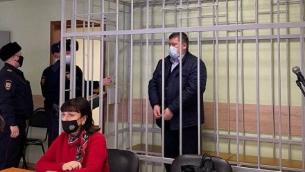 Вице-спикера гордумы Воронежа отправили под домашний арест за мошенничество