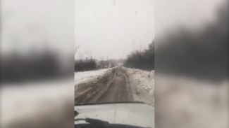 Жители воронежского села и хутора остались в заточении из-за отсутствия моста и объездной дороги