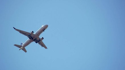 Летевший из Питера в Симферополь самолёт экстренно сел в Воронеже 